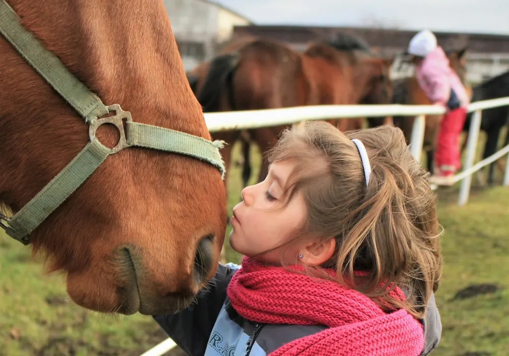 A young girl kissing her horse on the nose