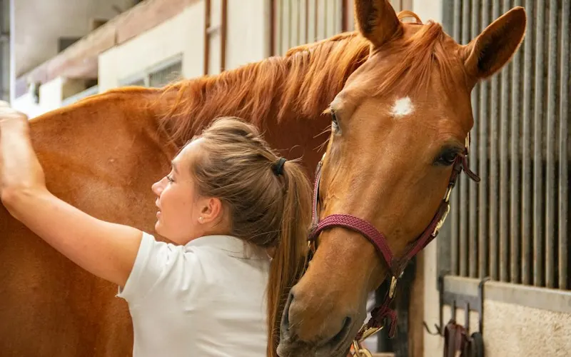 A volunteer grooming a chestnut horse