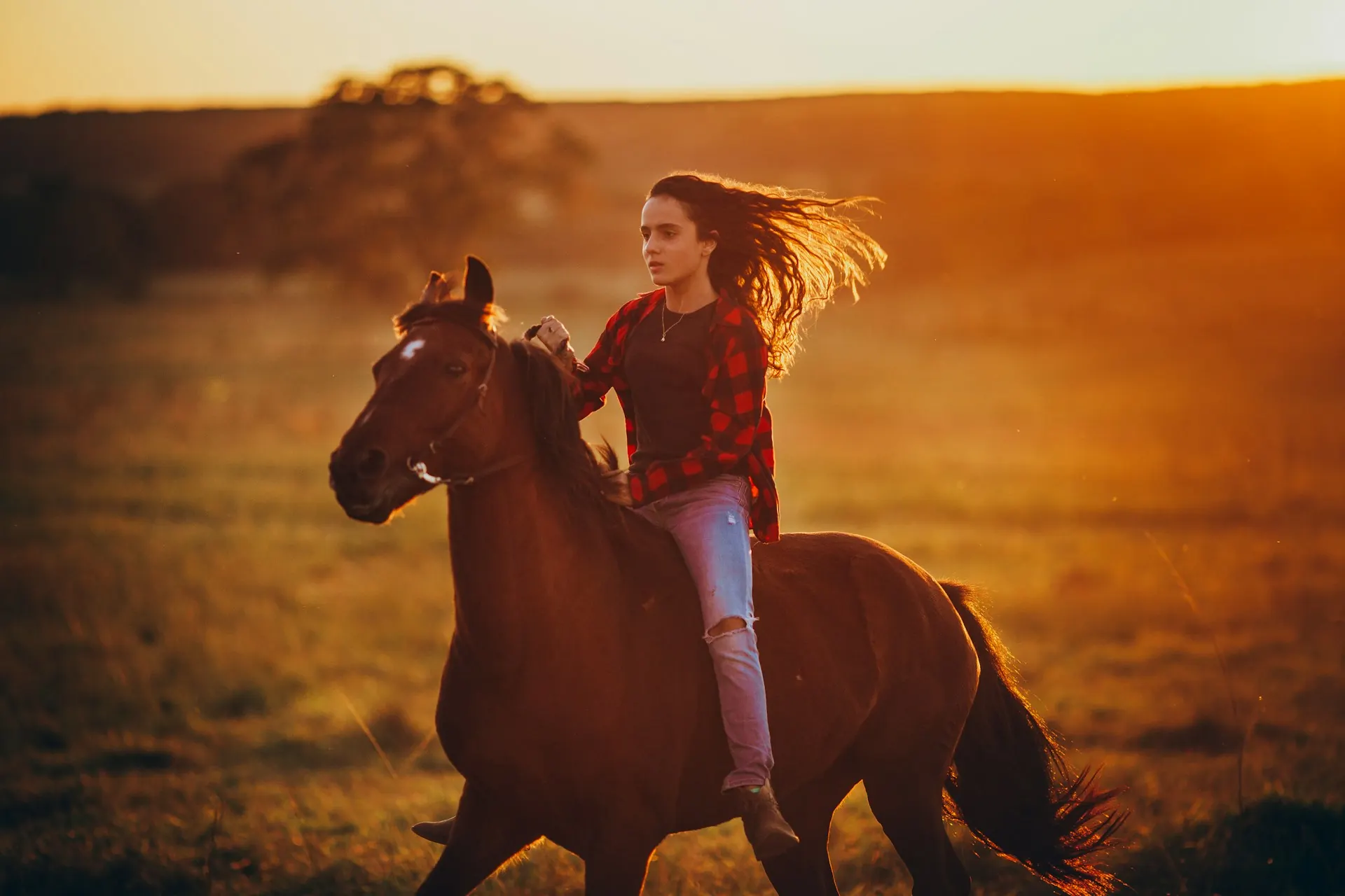 A young rider and her horse at golden hour
