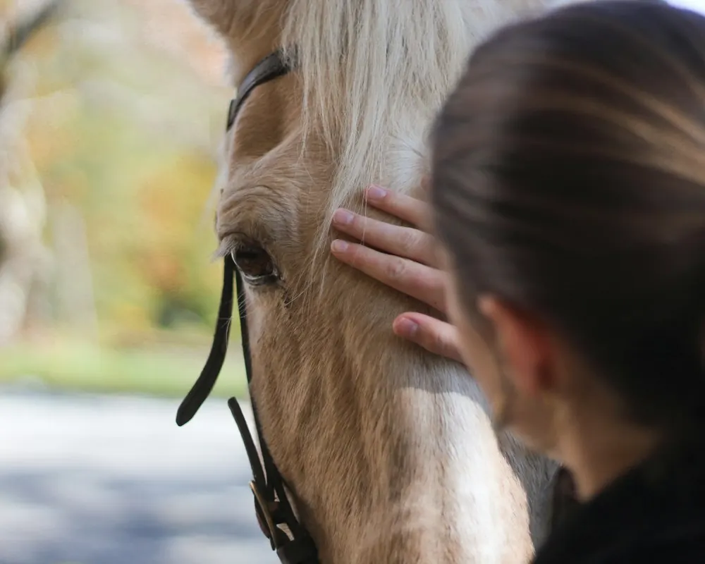 A woman resting her hand on a horse