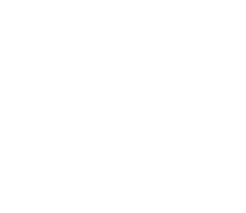 Equestrian Bridges logo